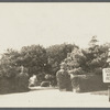 View of ivy-covered gate at drive entrance. NW corner Main Street and Gin Lane. Southampton, Southampton