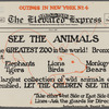The Elevated Express