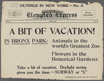 The Elevated Express