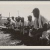 Men in baseball uniforms on bench