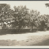 View of shaded walk and hedge. East side Main Street, south of Toylsome Lane. Southampton, Southampton