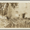 Edwin P. Halsey house. West side Main Street, now in rear of John Herrick store, opp. Odd Fellows Hall. Southampton, Southampton