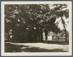 Huntting house. East side Main Street, north of Hampton Road, south of Old Post House. Southampton, Southampton