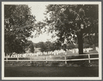 View of North End Burying Ground. Between road to North Sea and Windmill Lane. Oldest grave 1721. Southampton, Southampton