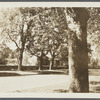 Capt. Harry Halsey house. SW corner Main Street and Bowden Square. Southampton, Southampton