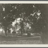 Jagger house; West side Main Street, north of railroad tracks, between Reeve and Bishop houses. Southampton, Southampton