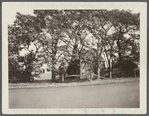 White house. NE corner Hampton Road and Flying Point Road, just outside village limits.  Southampton, Southampton