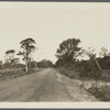 View of road to North Sea, south of Wm. F. Haynes house. Southampton, Southampton