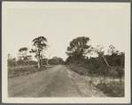 View of road to North Sea, south of Wm. F. Haynes house. Southampton, Southampton