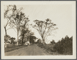 View of houses on road to North Sea. Left: S. Harris (1858, 1873). Right: Capt. J.R. Rose (1873). North Sea, Southampton