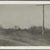 View of lane on Shinnecock Reservation, showing houses in distance. Running SE from Shinnecock Road, on Shinnecock Neck. Southampton, Southampton