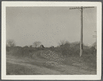 View of lane on Shinnecock Reservation, showing houses in distance. Running SE from Shinnecock Road, on Shinnecock Neck. Southampton, Southampton