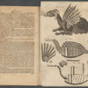 Artis magnæ artilleriæ