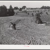 CCC (Civilian Conservation Corps) boys seeding and preparing a meadow strip for terrace outlet made on property of FSA (Farm Security Administration) borrower E.O. Foster. Caswell County, North Carolina.