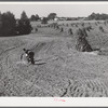CCC (Civilian Conservation Corps) boys seeding and preparing a meadow strip for terrace outlet made on property of FSA (Farm Security Administration) borrower E.O. Foster. Caswell County, North Carolina.