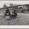 Making sorghum syrup in Caswell County, North Carolina.