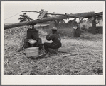 Making sorghum syrup in Caswell County, North Carolina.