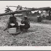 Making sorghum syrup in Caswell County, North Carolina.