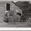 Black helper putting peavine hay into barn loft. Mr. J.V. Harris' farm, nine miles south of Chapel Hill on Highway 15, Chatham County, North Carolina.