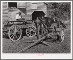 Black helper with wagon in front of J.V. Harris' barn, nine miles south of Chapel Hill on Highway 15. Chatham County, North Carolina.