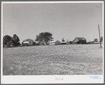 Home of E.O. Foster, FSA (Farm Security Administration) borrower. Caswell County, North Carolina.