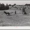 CCC (Civilian Conservatioon Corps) boys seeding and preparing a meadow strip for terrace outlet made on property of FSA (Farm Security Administration) borrower E.O. Foster. Caswell County, North Carolina,