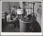 Pasteurizing and bottling milk in the Caswell Dairy, owned and operated by E.O. Foster, FSA (Farm Security Administration) borrower in Caswell County, North Carolina.