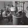 Pasteurizing and bottling milk in the Caswell Dairy, owned and operated by E.O. Foster, FSA (Farm Security Administration) borrower in Caswell County, North Carolina.