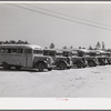 Line of school buses in back of Anderson consolidated school. Caswell County, North Carolina.