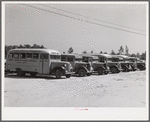 Line of school buses in back of Anderson consolidated school. Caswell County, North Carolina.