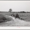 Hauling wood for winter fuel. Caswell County, North Carolina.