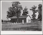 Black church and graveyard. Caswell County, North Carolina.