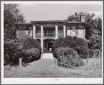 Old Thompson residence with boxwood near Milton, Caswell County, North Carolina.