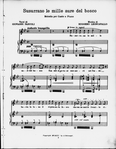 Music and musicians
