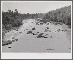 Haw River from bridge on Highway 64 east of Pittsboro. Chatham County, North Carolina.