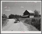 Wagon with stocks of meal on road in Corbett Ridge section. Caswell County, North Carolina.