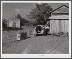 During the tobacco marketing season peddlers drive around to the tobacco barns and strip houses through the county to sell their wares to the farmers and tenants. Caswell County, North Carolina.