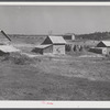 Tobacco barns, pack houses and tenant's home on farm about four miles north of Yanceyville on Danville Road. Caswell County, North Carolina.