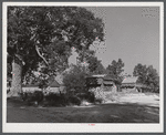 Tobacco barns and crossroads in Corbett Ridge section near Prospect Hill. Caswell County, North Carolina.