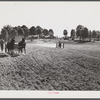 Plowing. Caswell County, North Carolina.