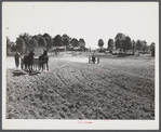 Plowing. Caswell County, North Carolina.