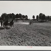 Plowing. Caswell County, North Carolina.