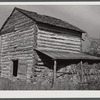 Tobacco barn with corn stalks stored under its shed for winter fodder near Prospect Hill. Caswell County, North Carolina.
