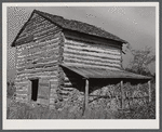 Tobacco barn with corn stalks stored under its shed for winter fodder near Prospect Hill. Caswell County, North Carolina.