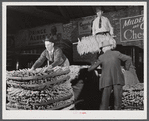 Farmers unloading their tobacco from their trailer in the baskets the night before auction sale in Hughes warehouse. Danville, Virginia.