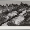 Soil erosion gullies on farm in Caswell County, North Carolina.