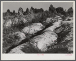 Soil erosion gullies on farm in Caswell County, North Carolina.