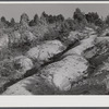 Soil erosion gullies on farm in Caswell County, North Carolina.