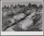 Soil erosion gullies on farm in Caswell County, North Carolina.