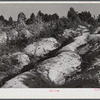 Soil erosion gullies on farm in Caswell County, North Carolina.